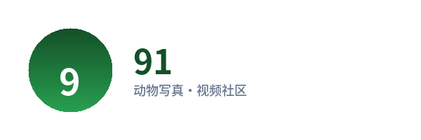 91